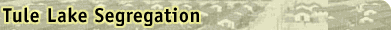 Tule Lake Segretation